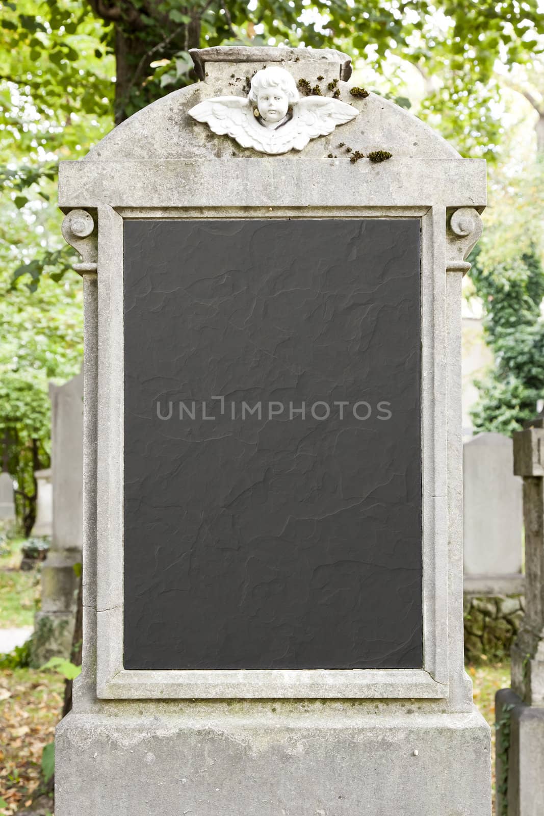 An image of a nice grave background