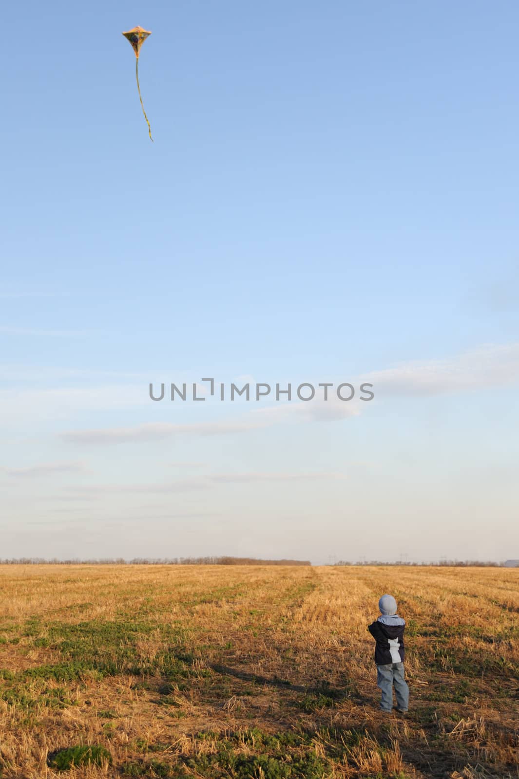 Kite. A colourful kite flying to the dark blue sky