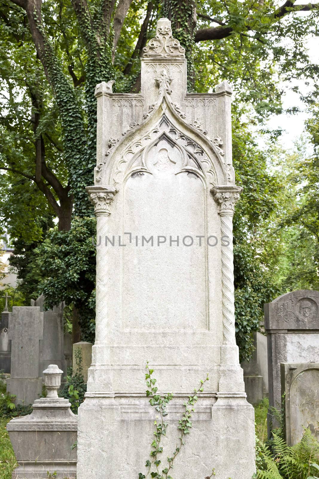 An image of a nice grave background