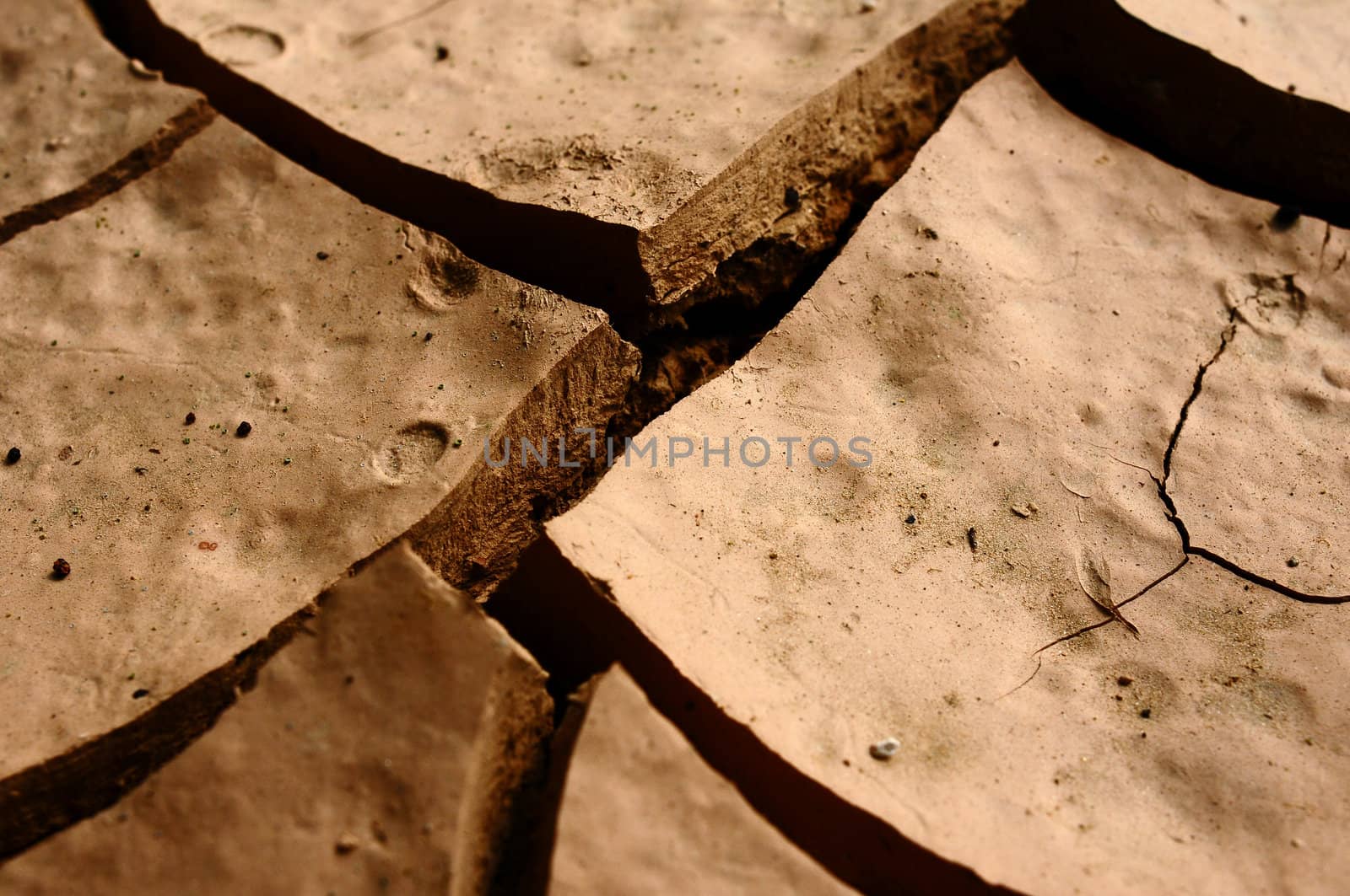 Closeup of dried and cracked earth