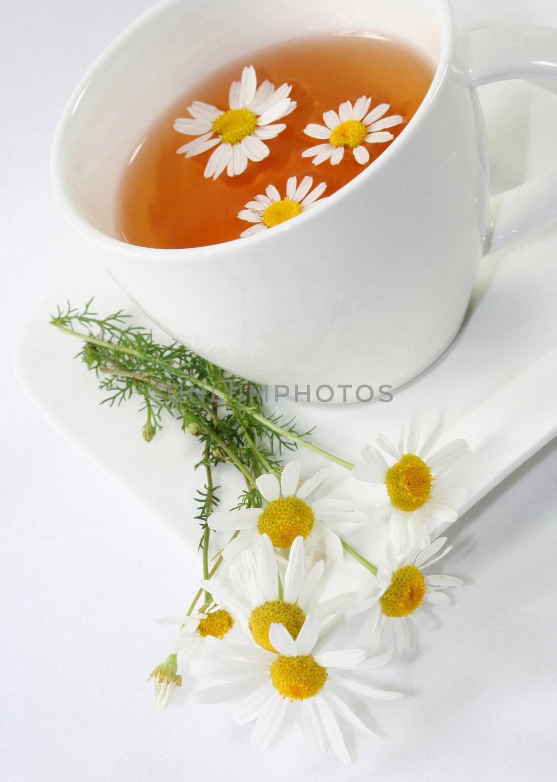 Chamomile tea with chamomile flower