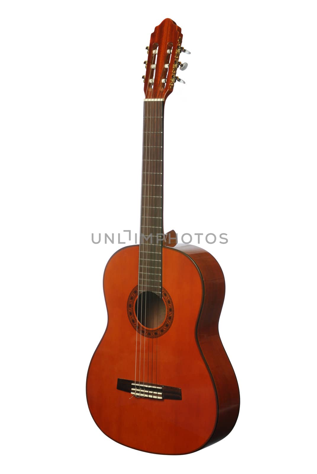 Guitar. An acoustic six-string guitar isolated by a plot a background
