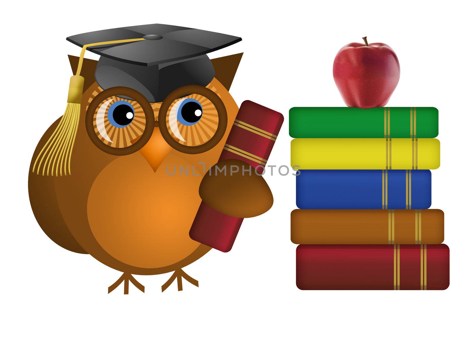 Wise Old Owl with Colorful Text Books Illustration