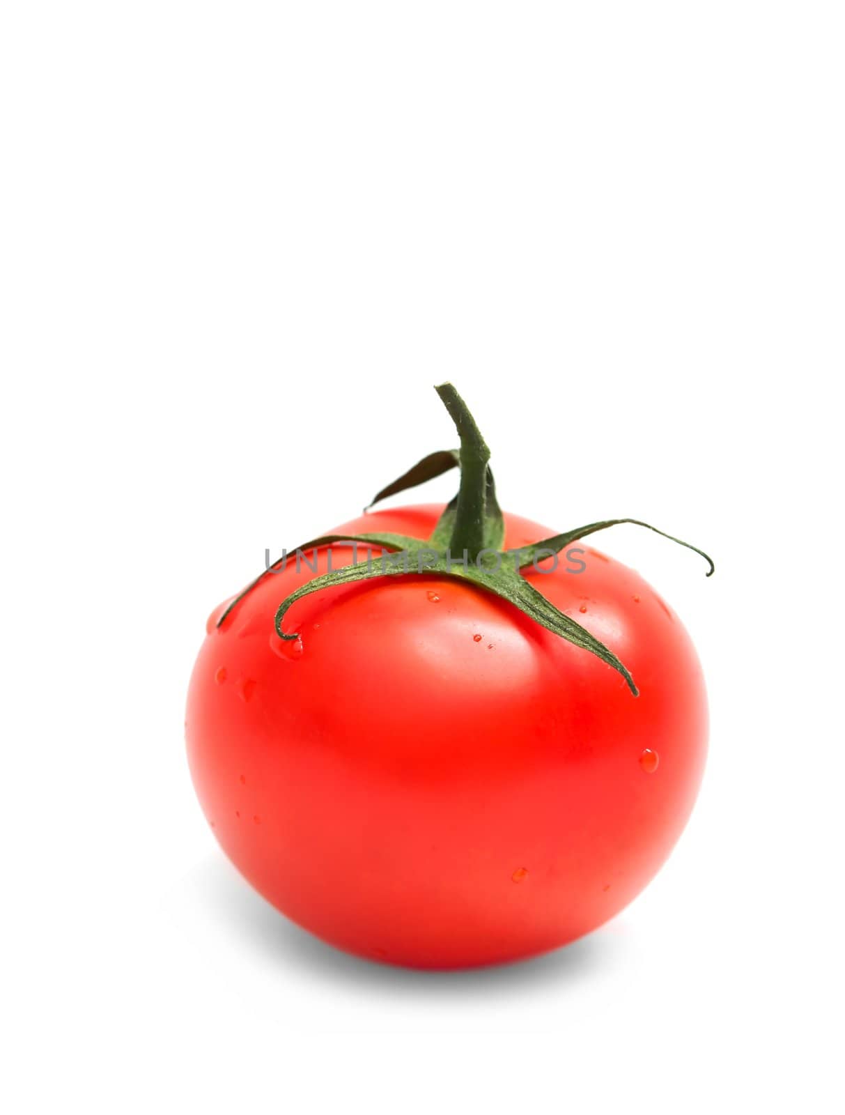 Tomato on white background