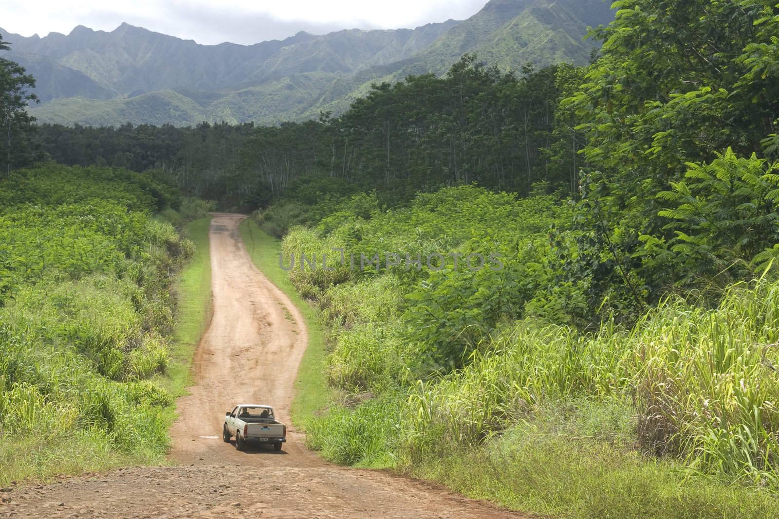 A mini-truck navigates around a rain puddle on a dirt back-road on the island of Kauai.  Hawaii, USA