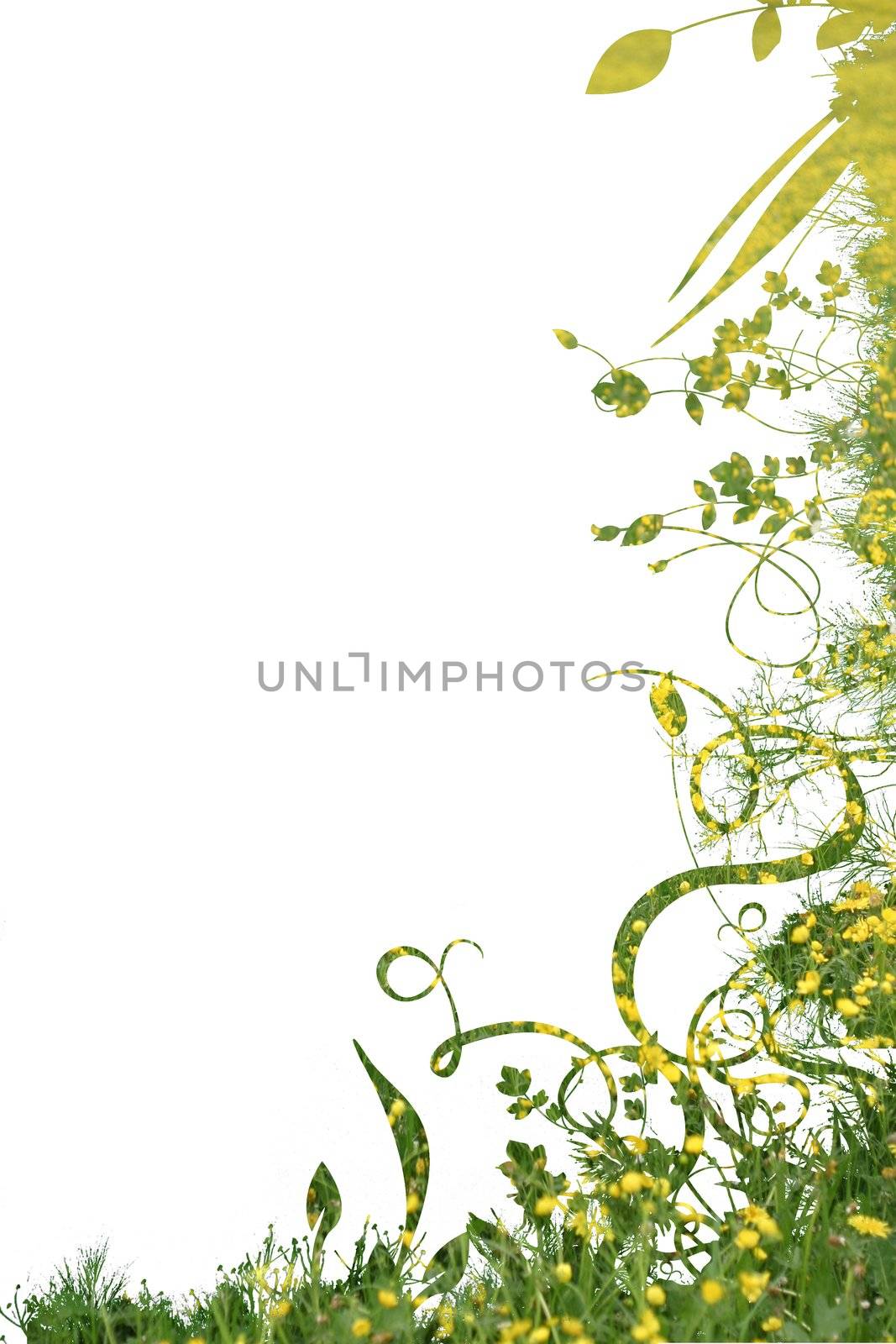 floral foliage beautiful arty background against white