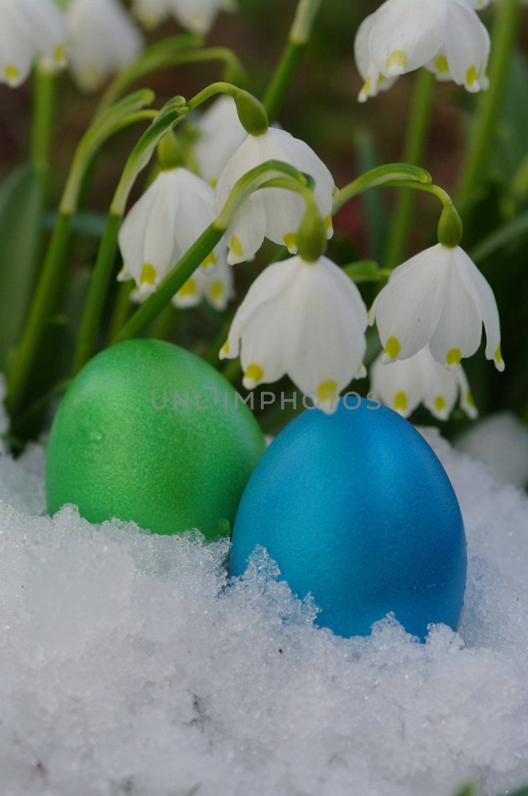 Lillies of the valley with snow with eggs
