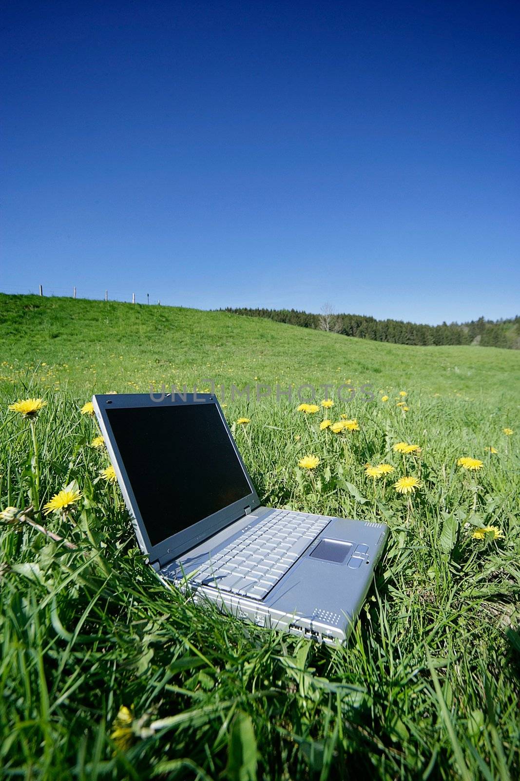 field work laptop outside in the meadow