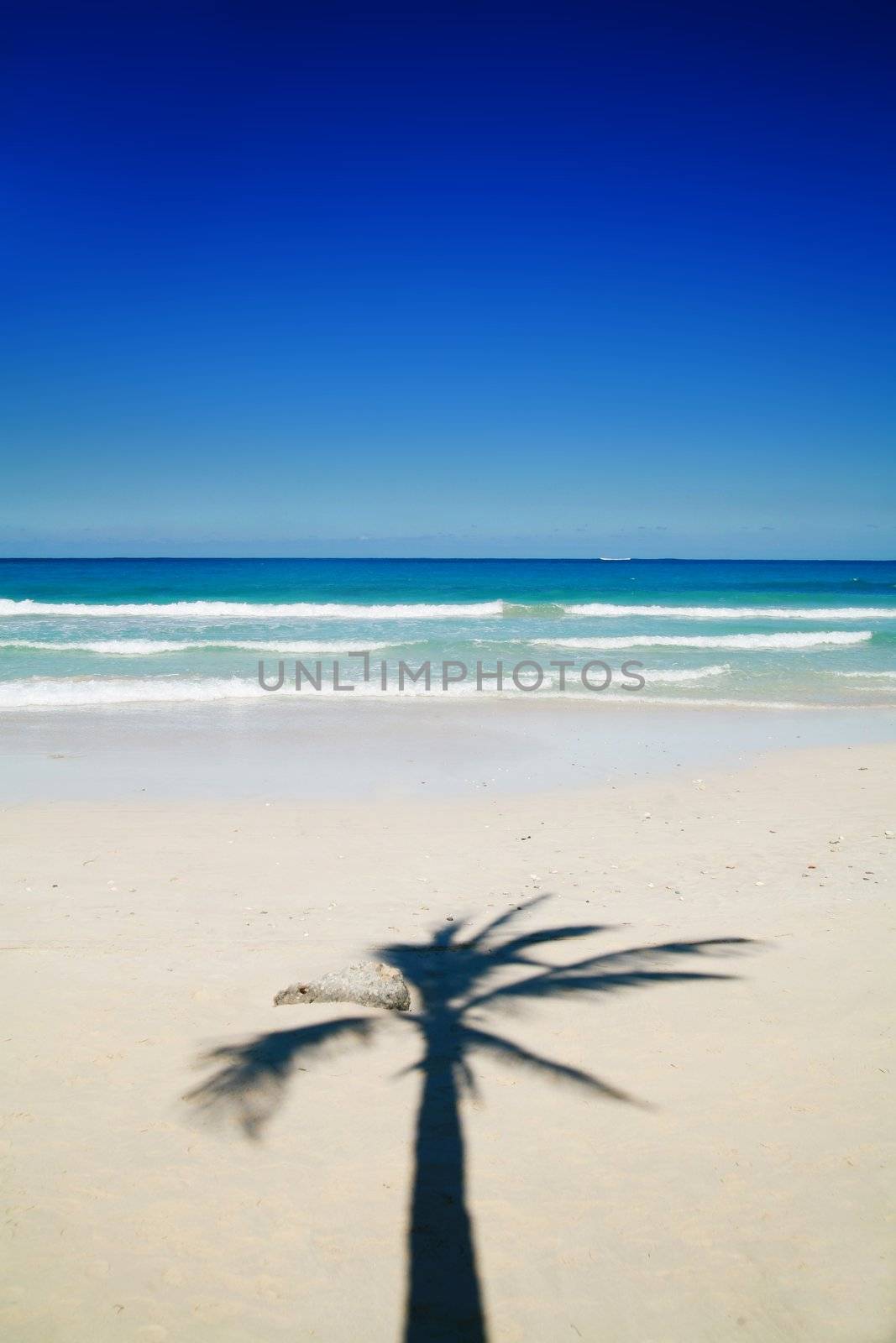 a beautiful tropical island scene in cuba