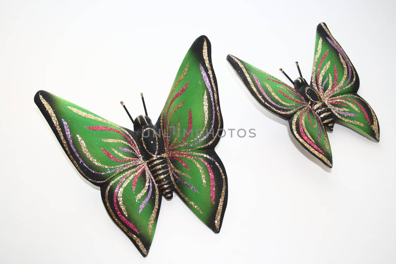 ornamental colorful  butterflies