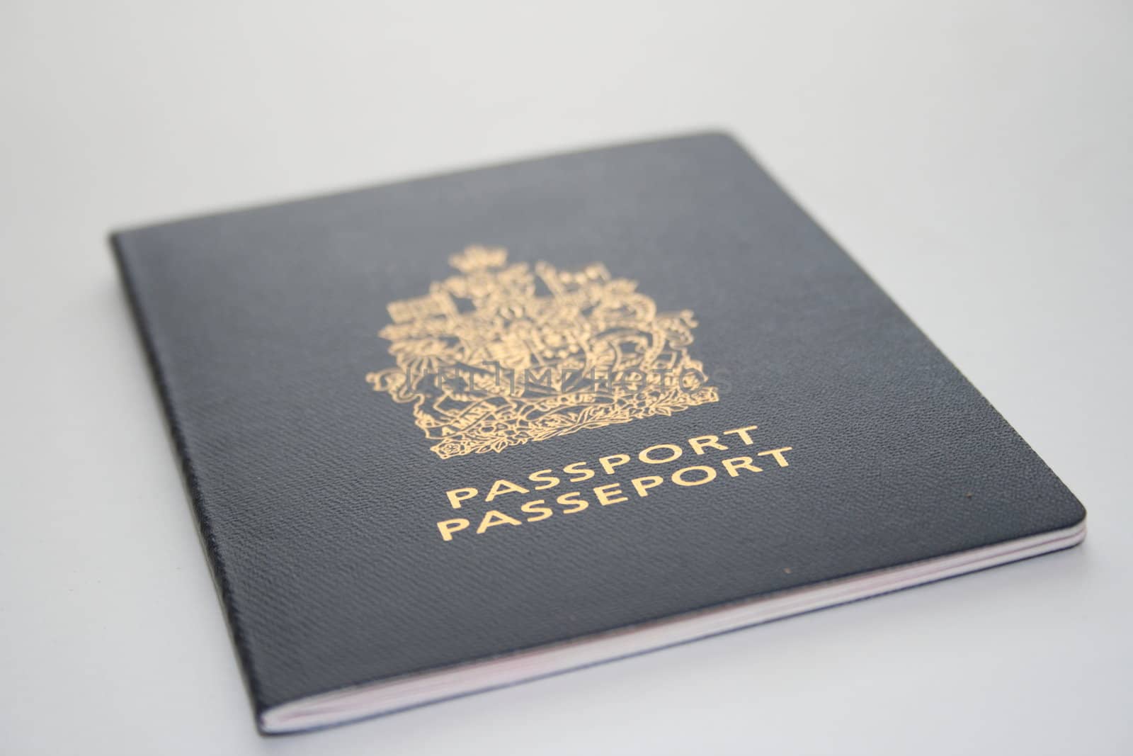 passport document by njene