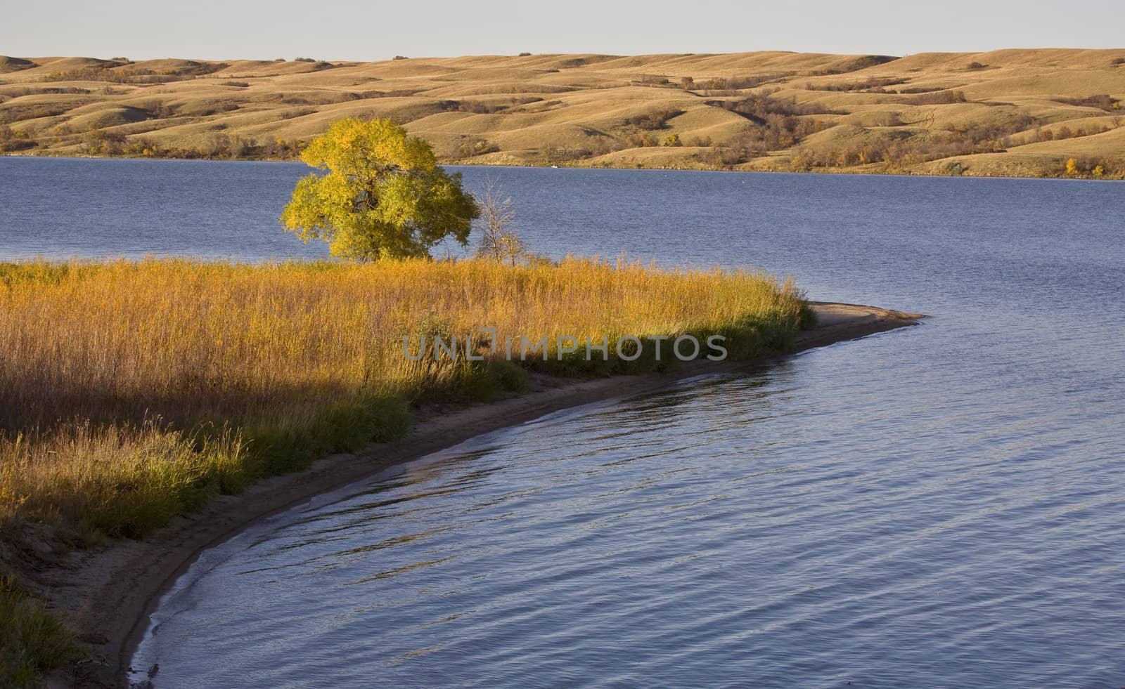 Autumn View Saskatchewan Buffalo Pound Lake