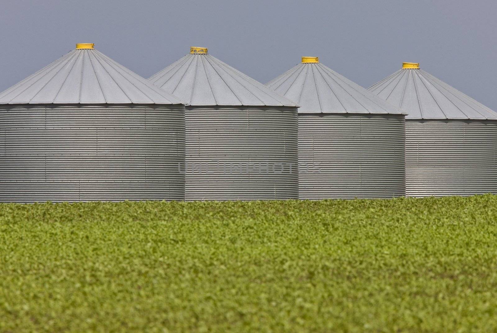 Agriculture Storage Bins Granaries by pictureguy