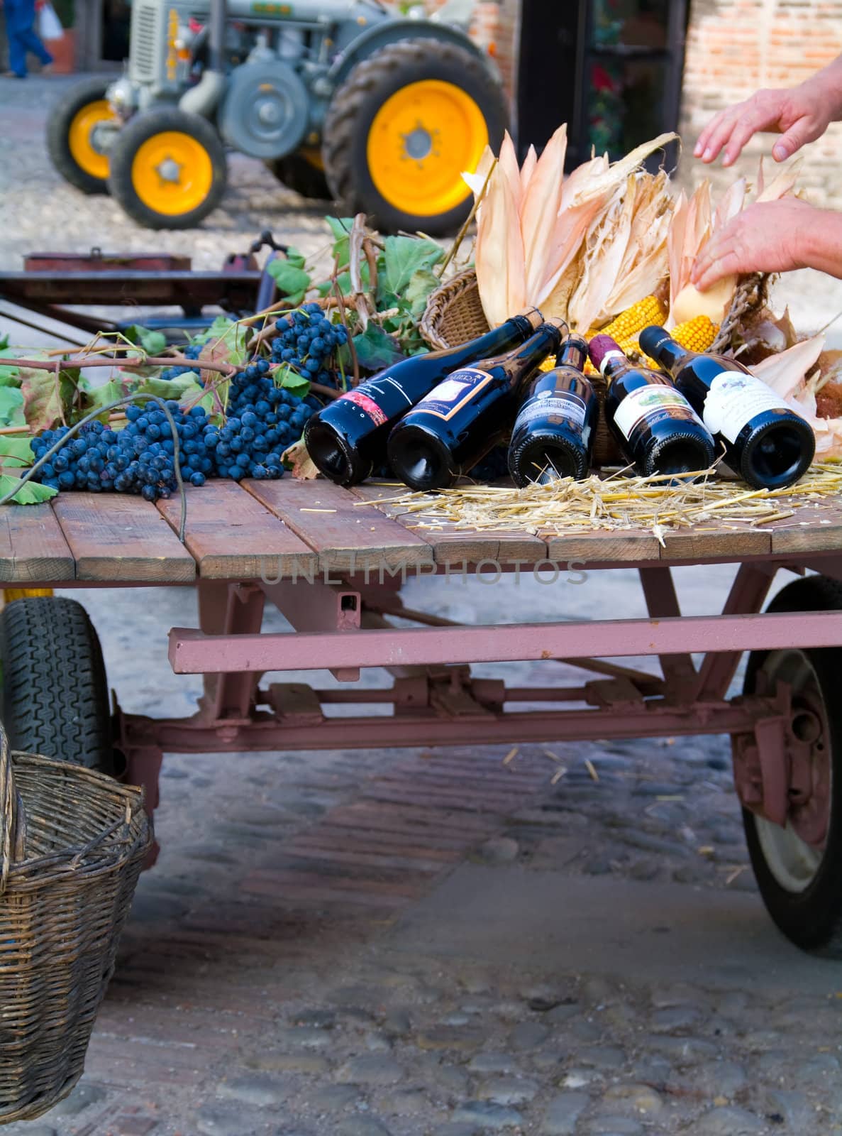 Wagon loaded with wine, grapes and blue grapes
