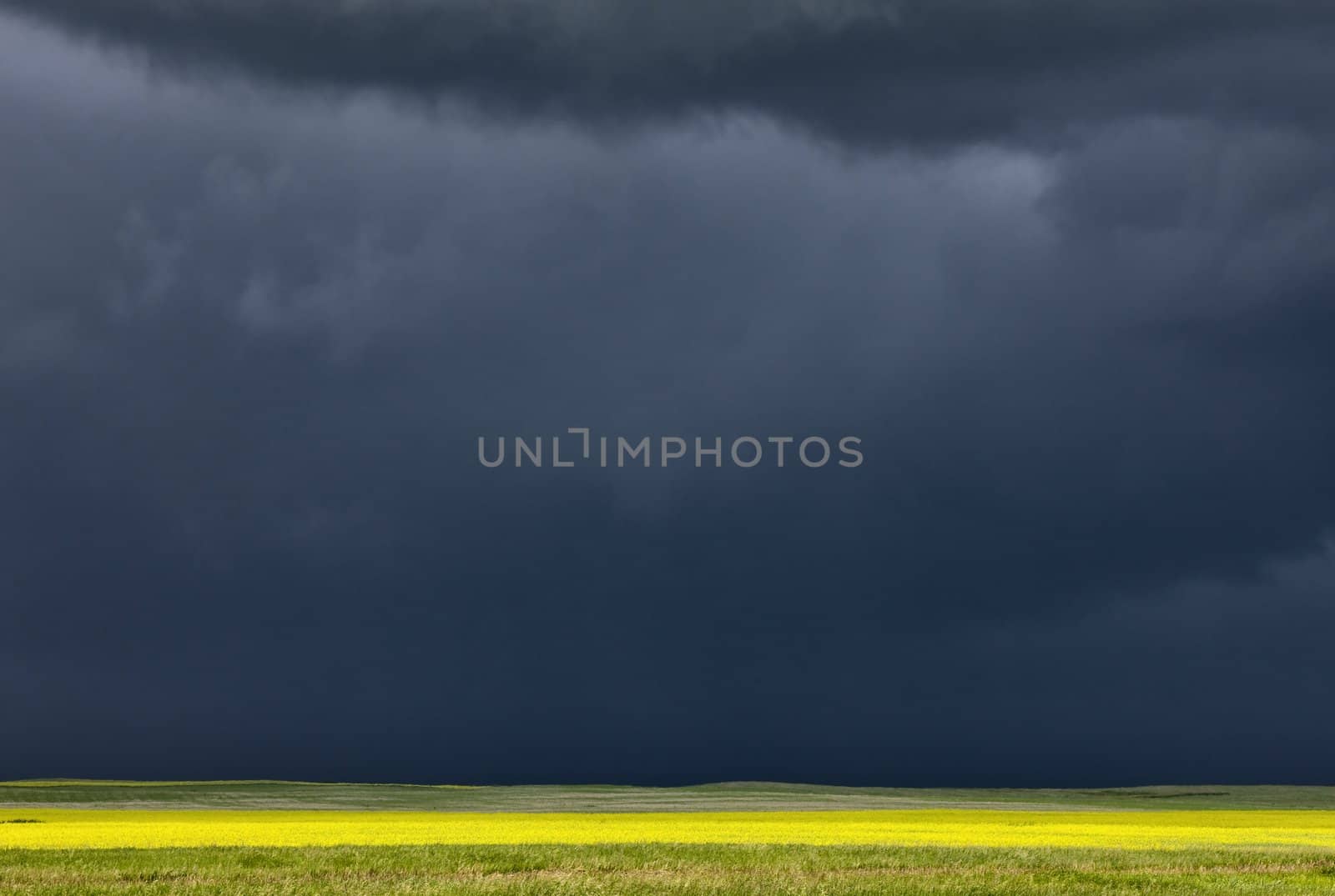Storm Clouds Prairie Sky Saskatchewan by pictureguy