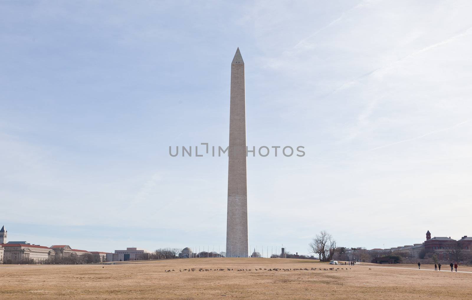 Memorial to George Washington. by gary718