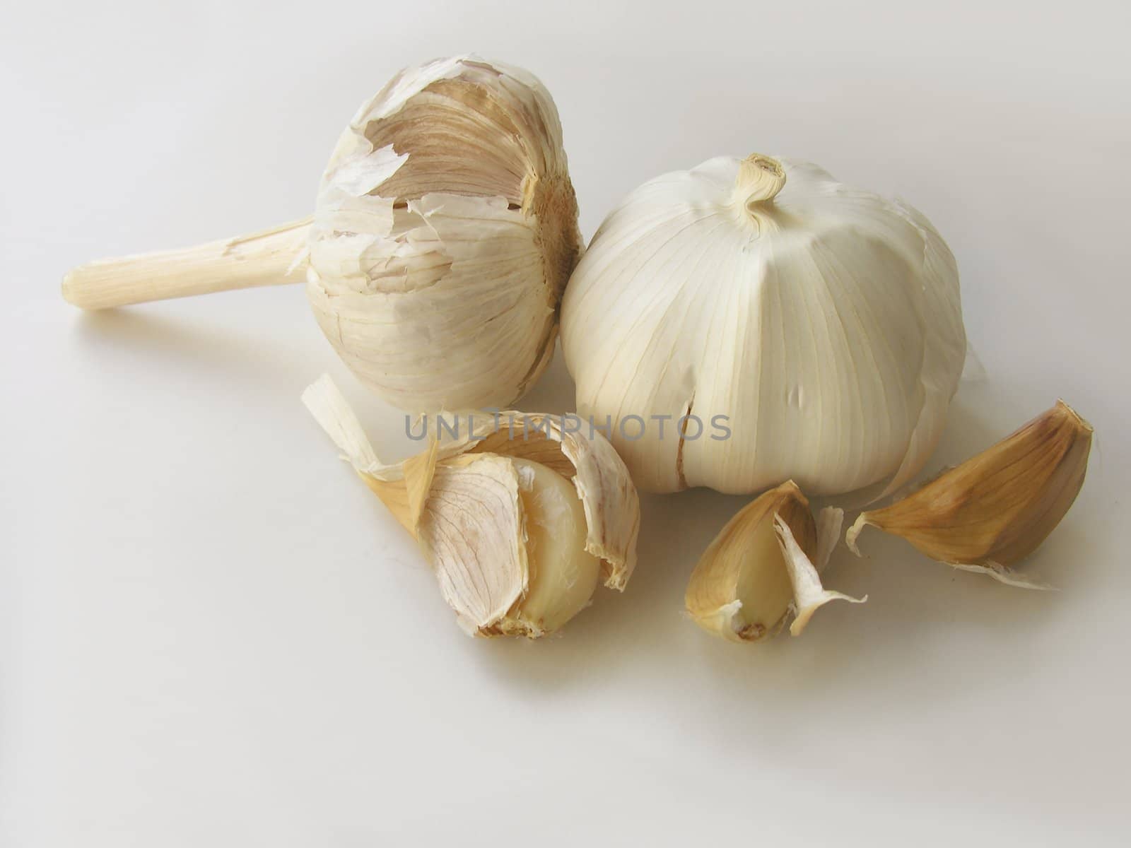 garlic as spice,vegetable or natural medicine