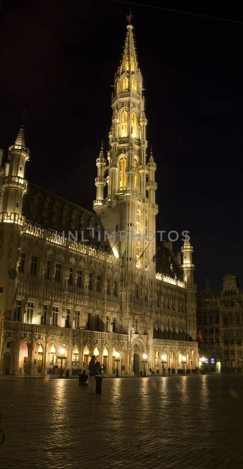 Brussels Town Hall by eugenef