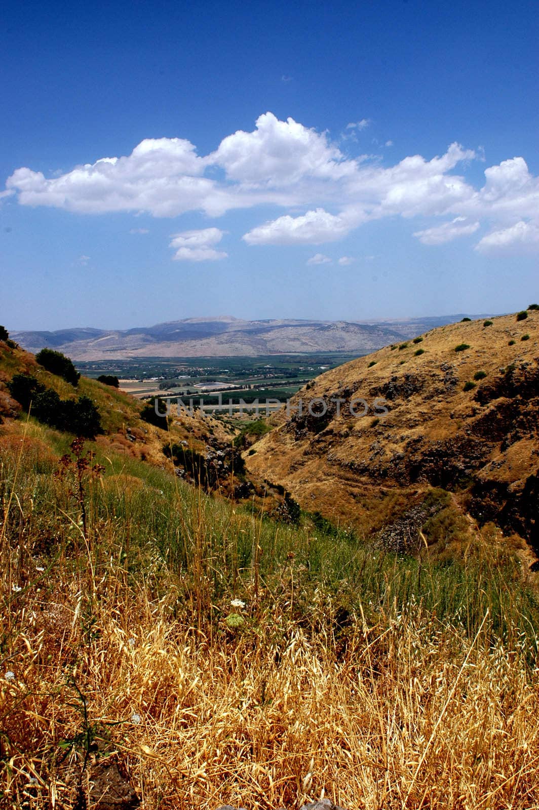 Taken in Negev, Israel. View of the mountains and the city.