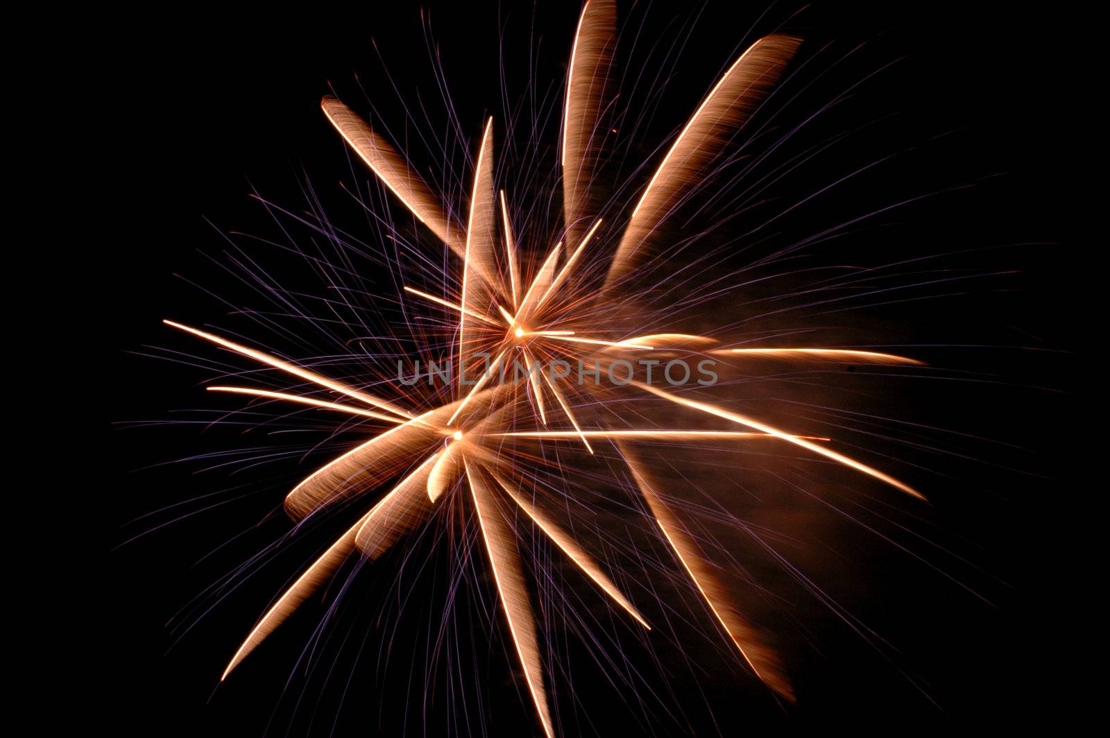 A 4th of July firework in Skokie, IL.