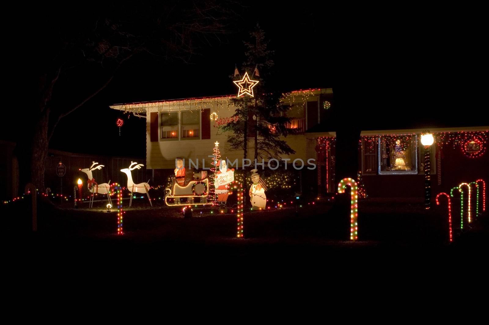 Christmas light decorations in Champaign, IL.