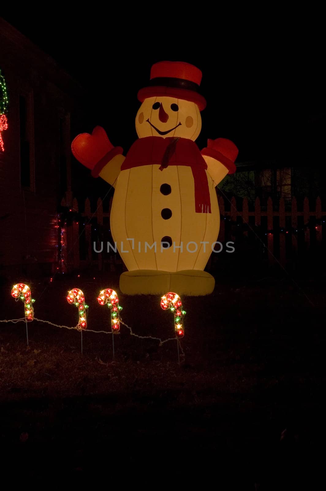 Christmas light decorations in Champaign, IL.