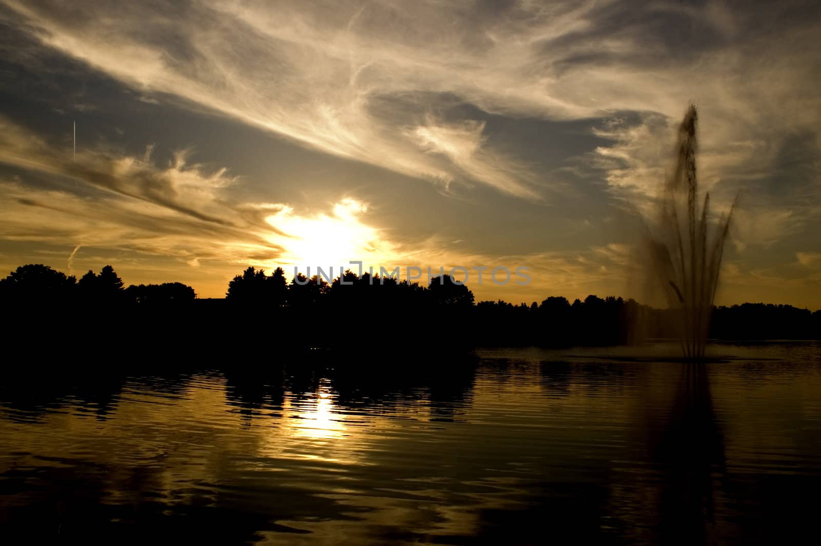 A sunset at the botanical garden - taken with a Nikon.