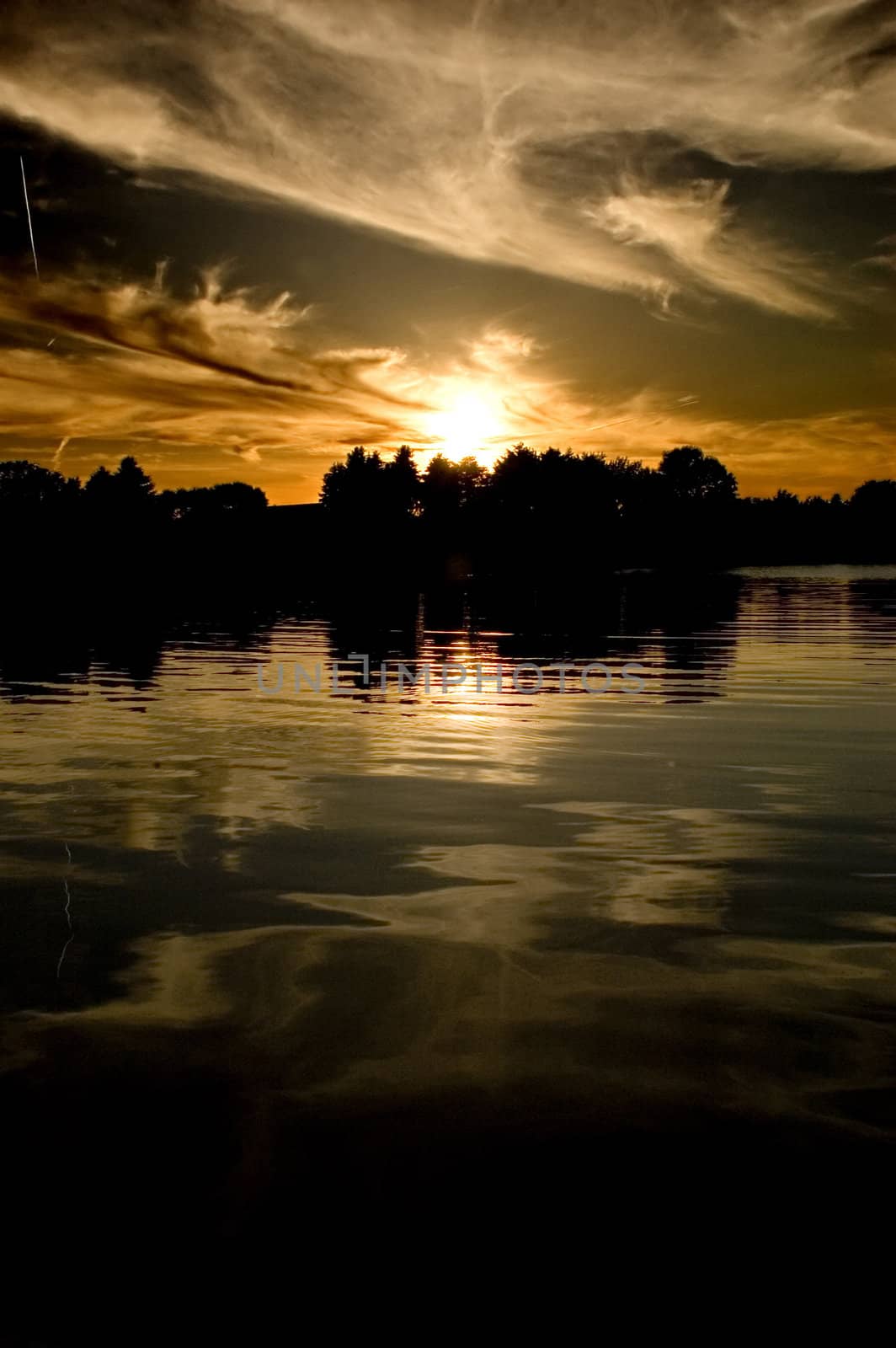 A sunset at the botanical garden - taken with a Nikon.