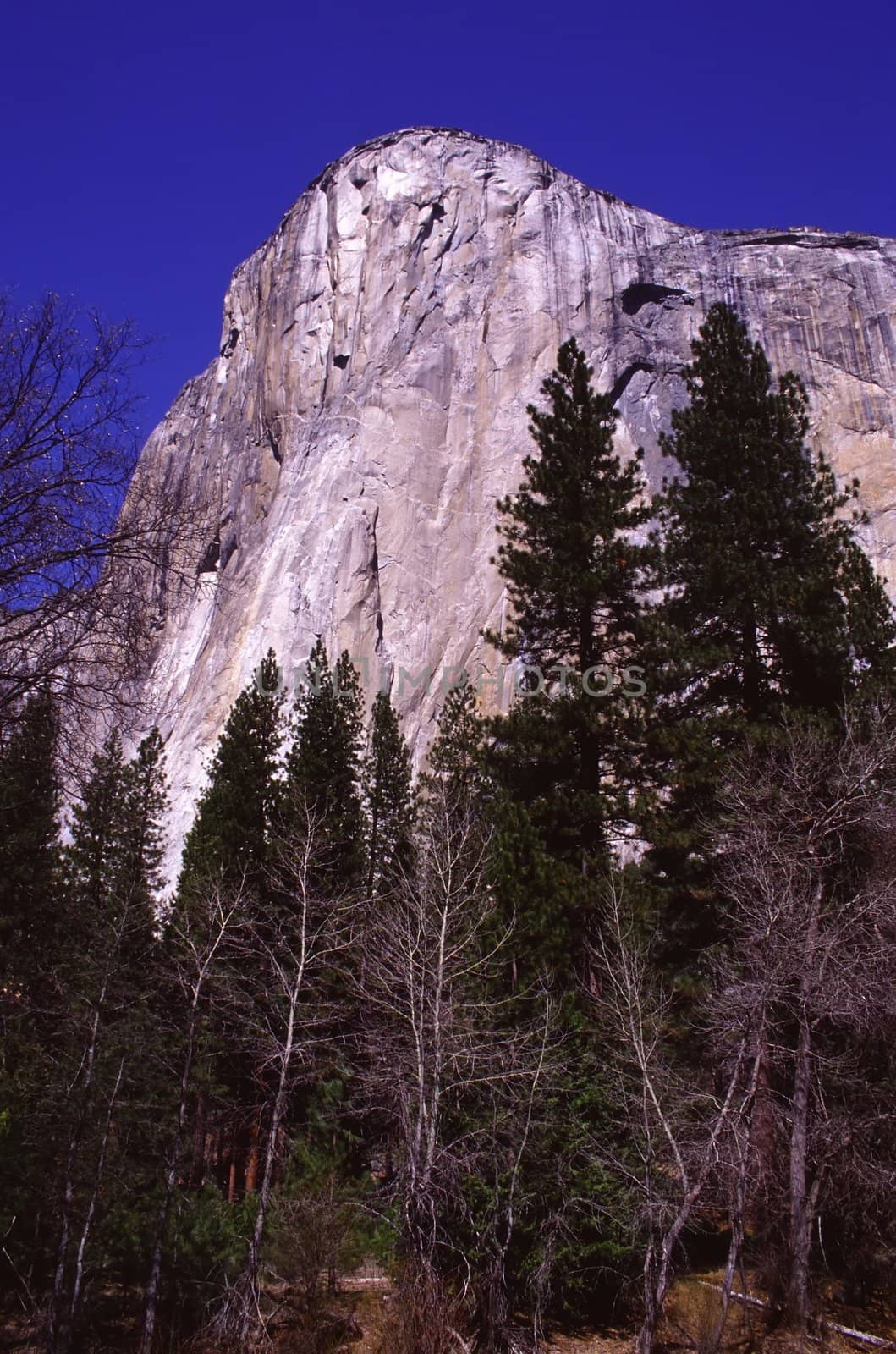 Yosemite National Park in California