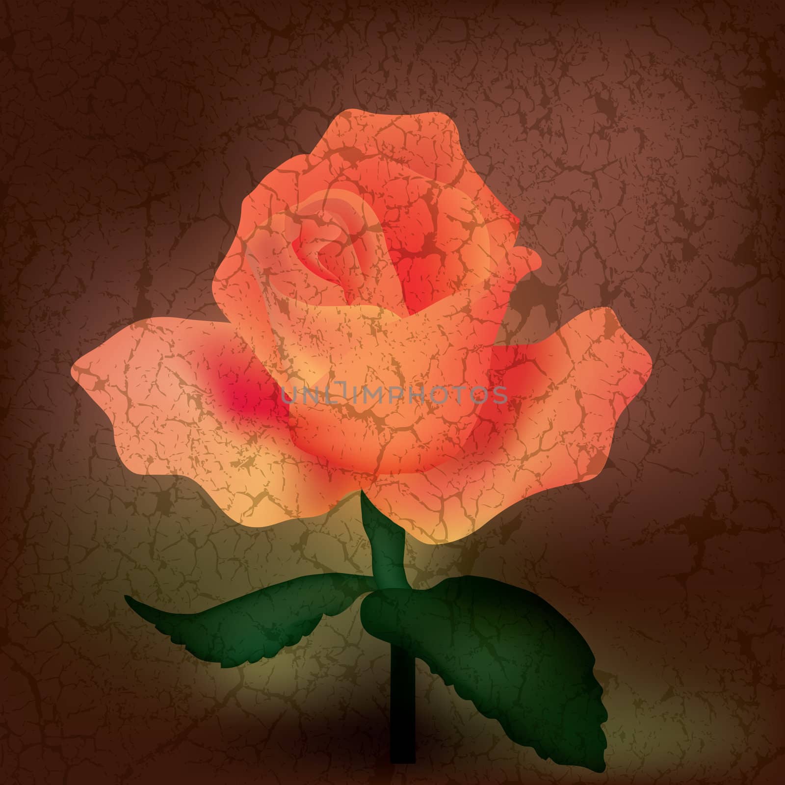 abstract floral illustration with rose on cracked background