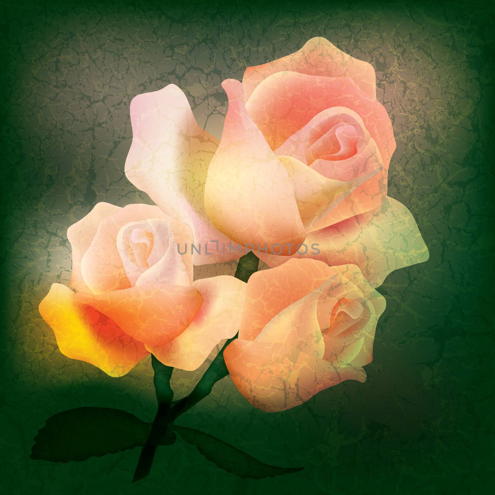 abstract floral illustration with roses on grunge background