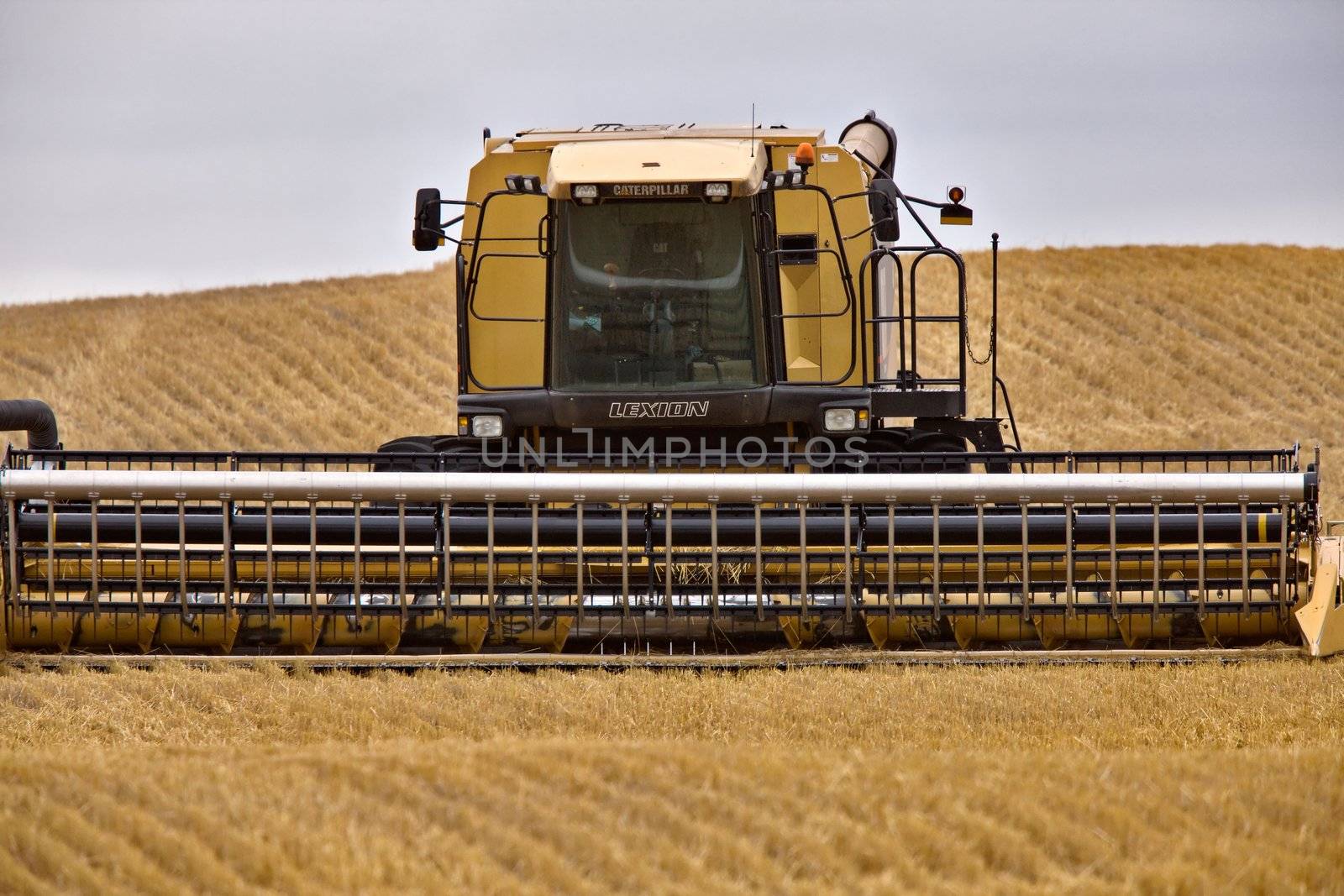 Combine Harvest in Saskatchewan Field southern hills