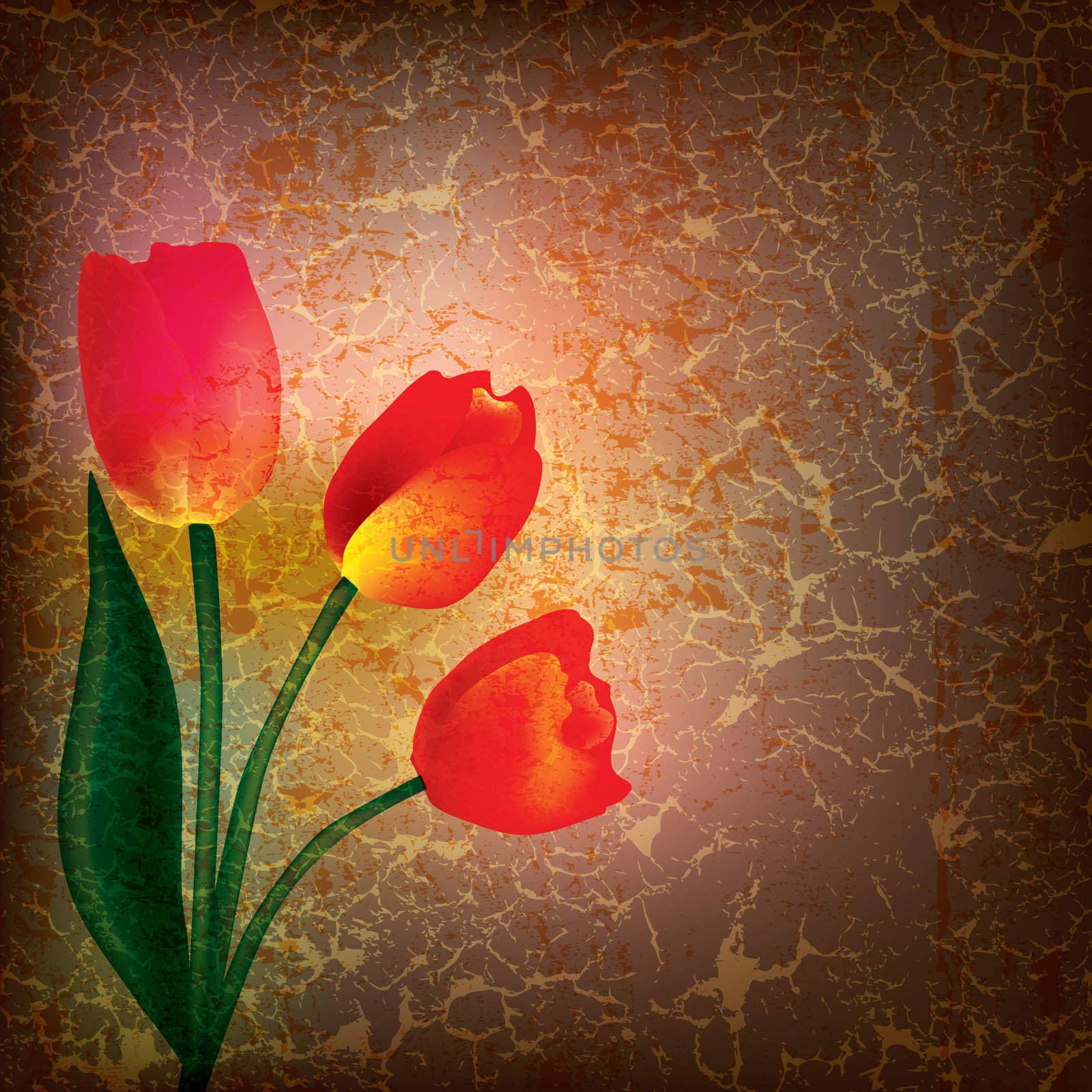 abstract grunge illustration with tulip on cracked background