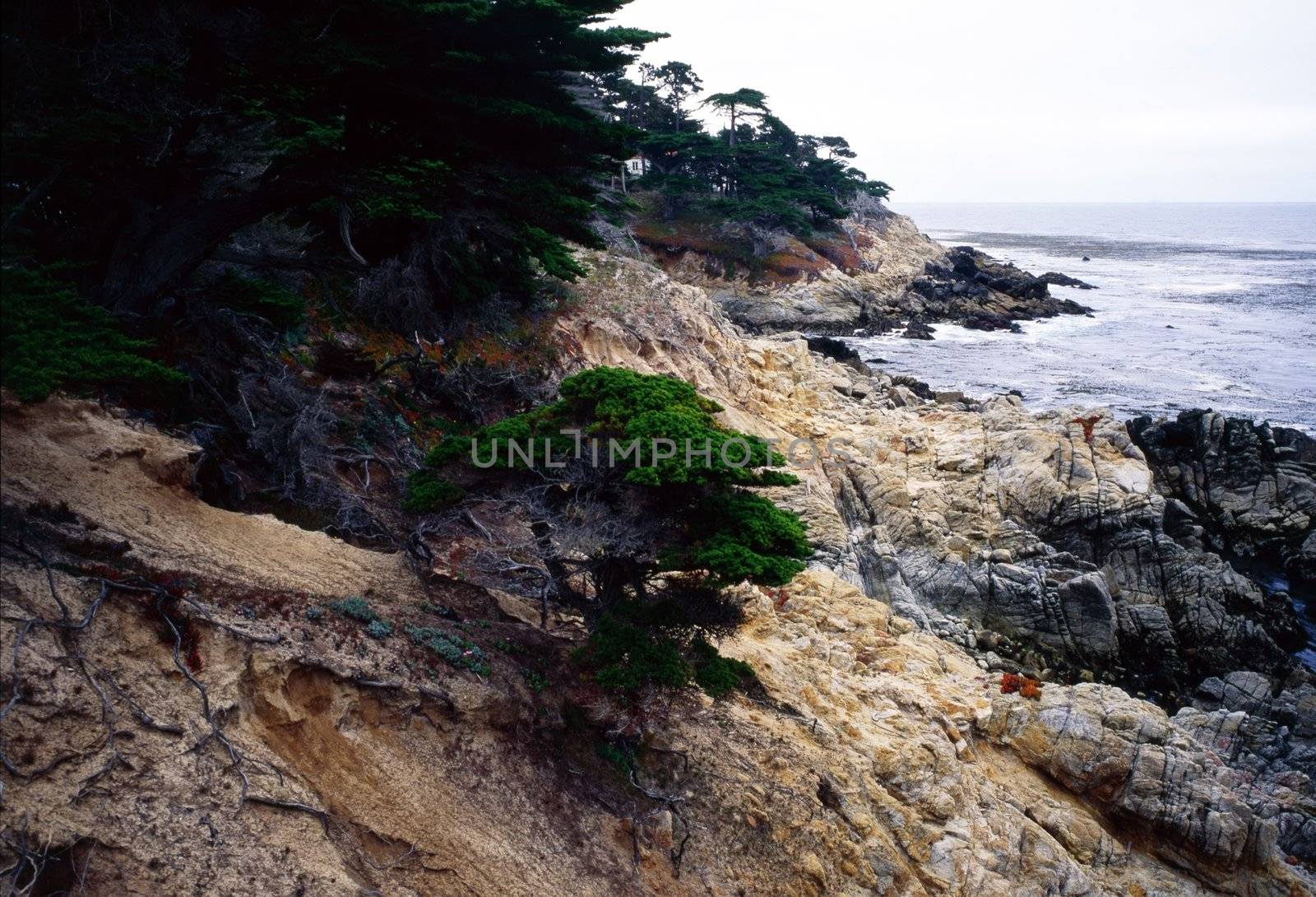 Pacific Coast in Point Lobos, California