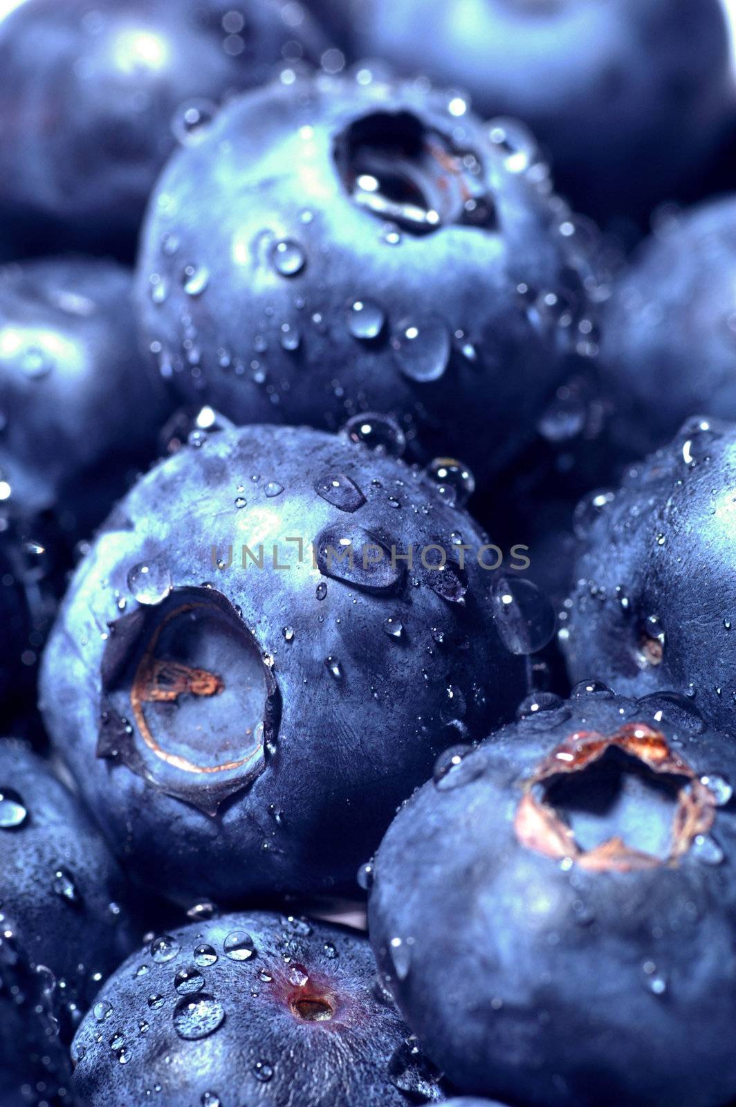 Sweet Blueberry berry closeup detail background