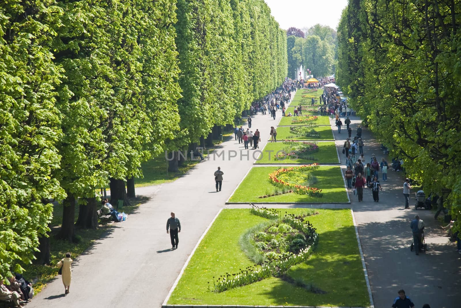 Central park in Olomouc city - Czech republic