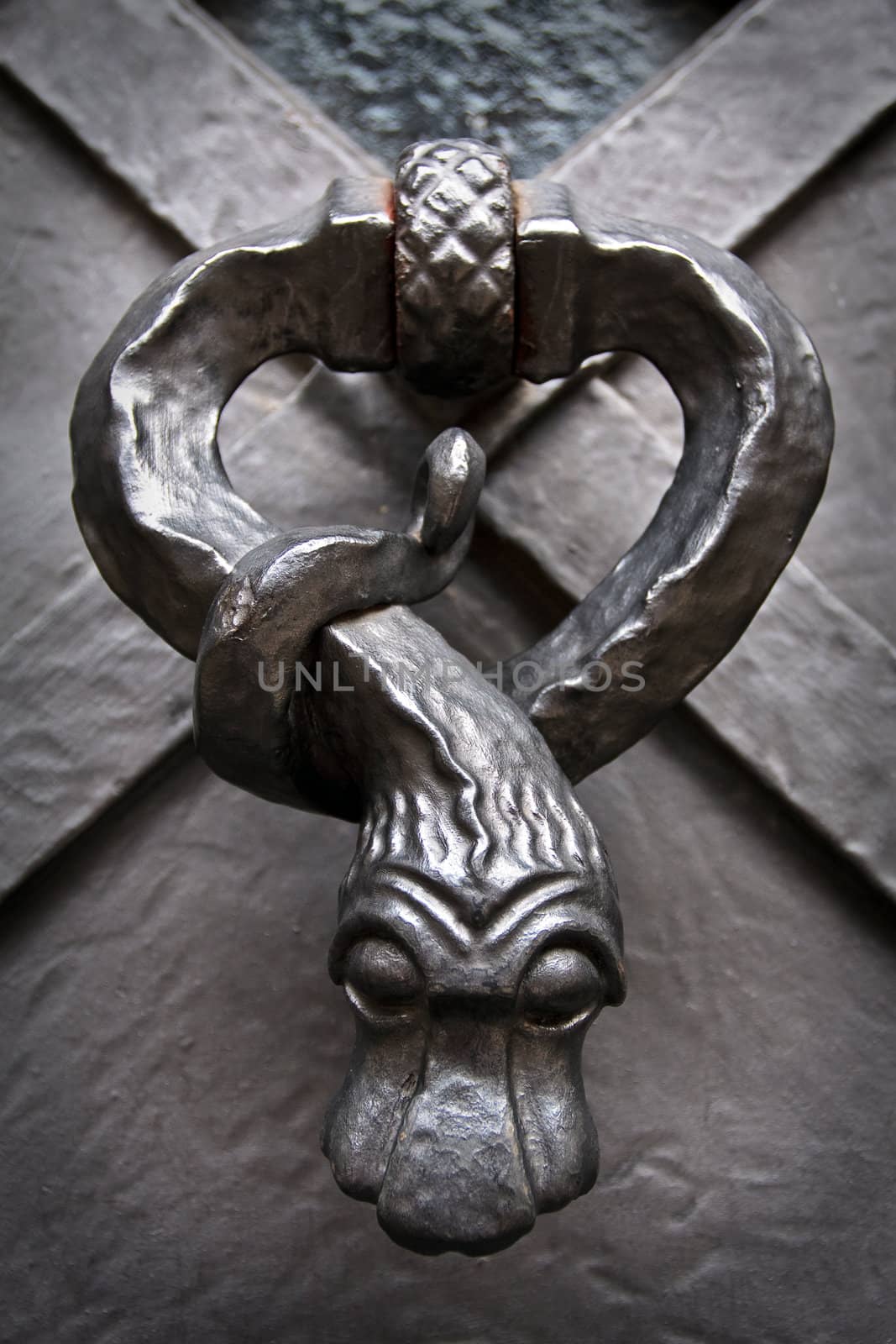 Snake knocker on the door in Prague Castle