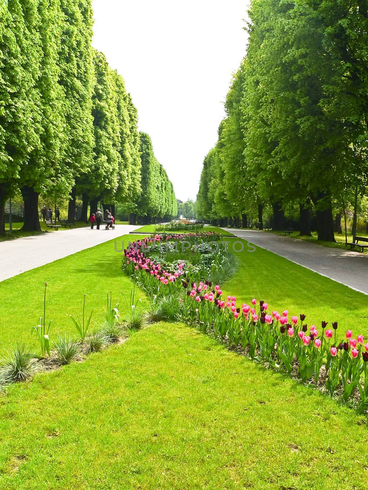 Central park "Flora" in Olomouc city - Czech republic by mozzyb