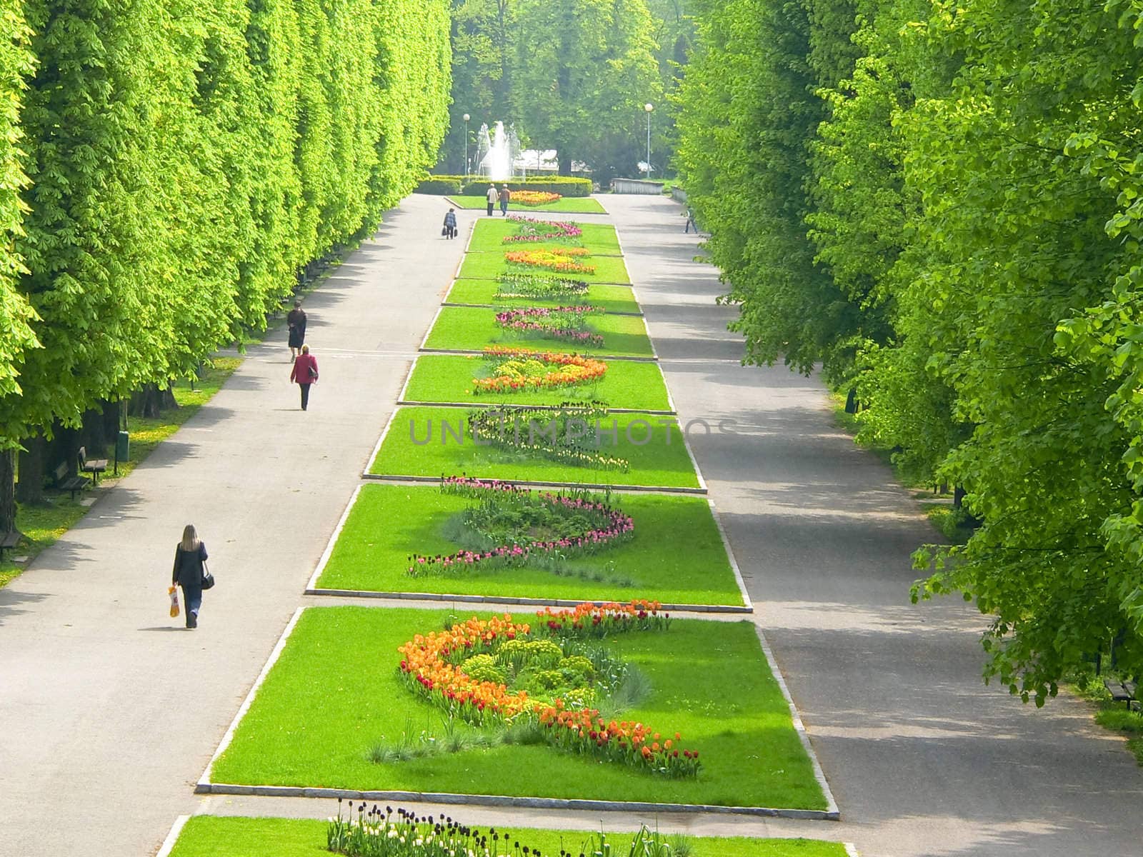 Central park "Flora" in Olomouc city - Czech republic