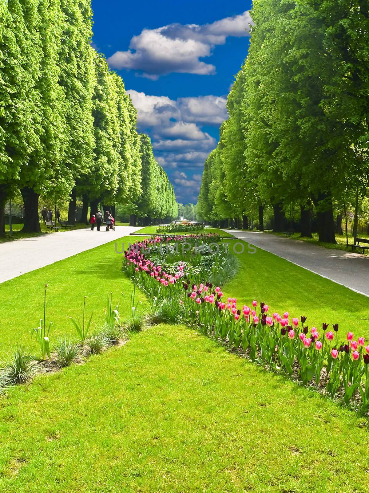 Central park "Flora" in Olomouc city - Czech republic by mozzyb