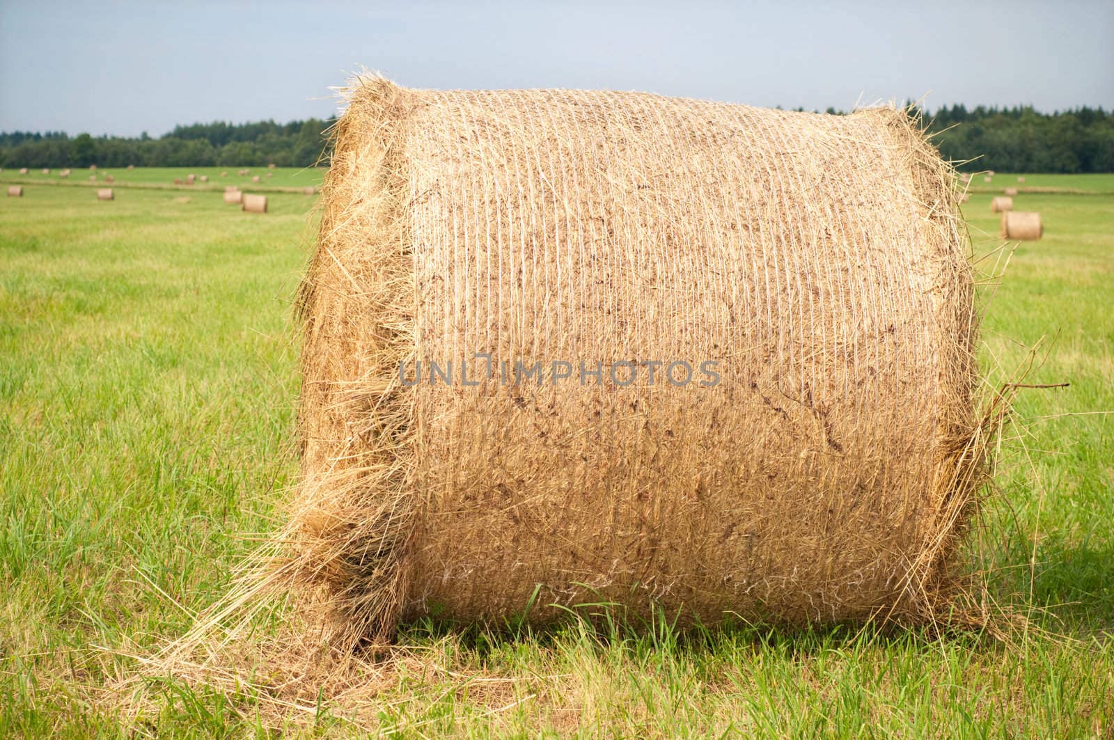Shot of hay on the field, landscape