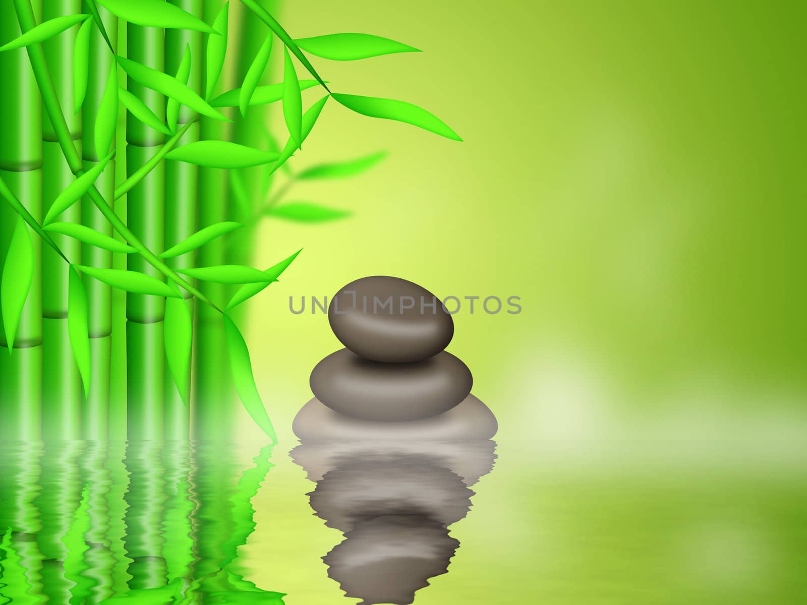 Bamboo Forest with Zen Pebbles Background Illustration