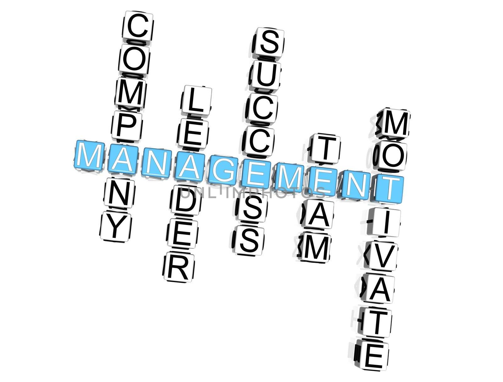 3D Management Crossword on white background