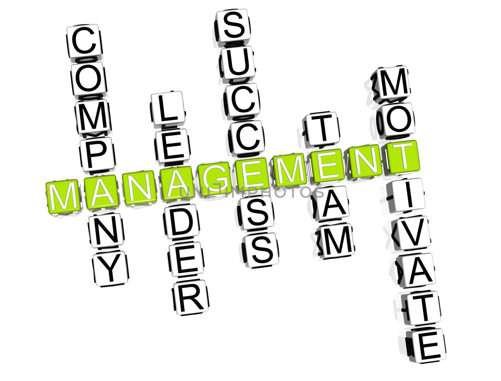 Management Crossword  by mariusz_prusaczyk