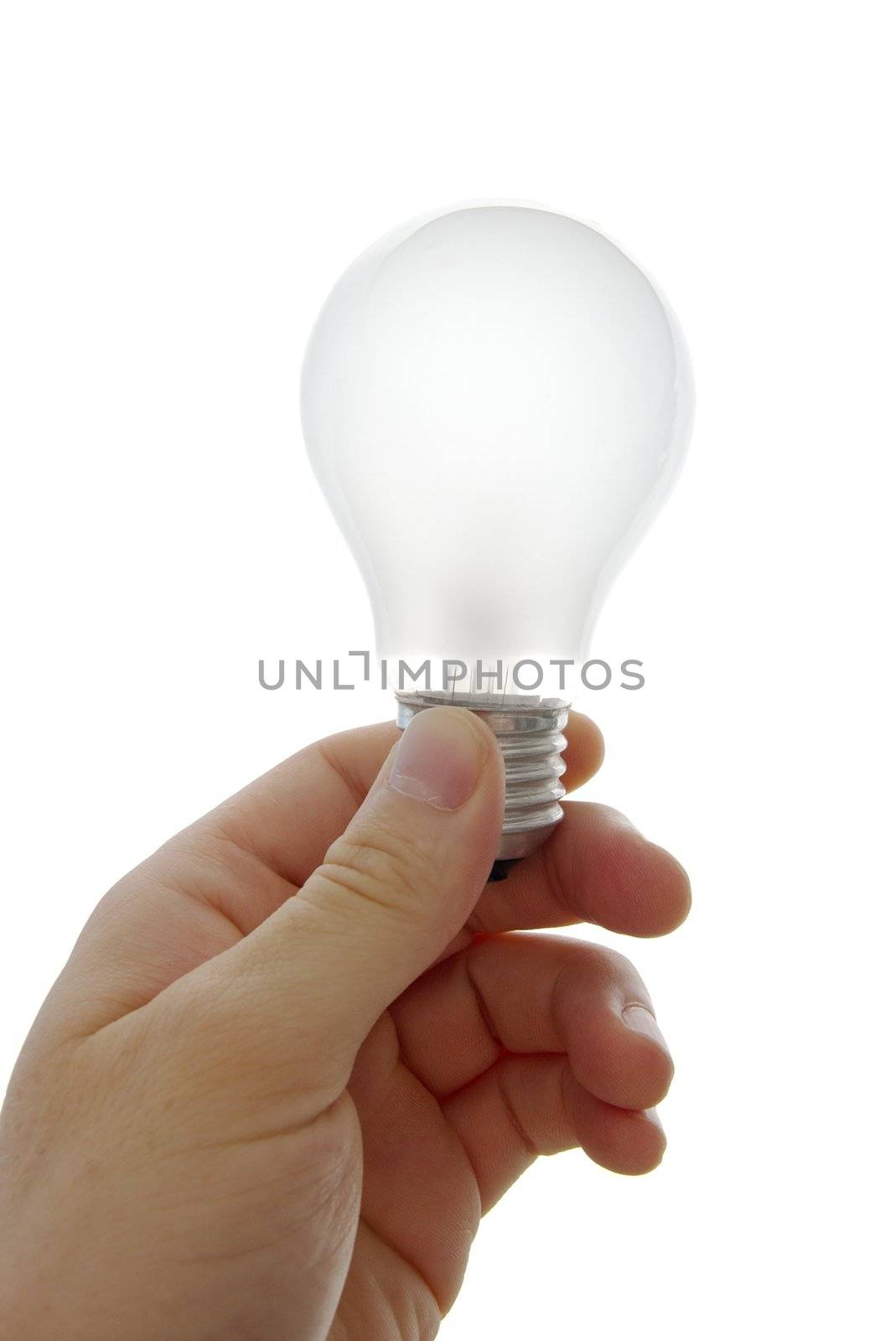 Lightbulb in a human hand isolated on white