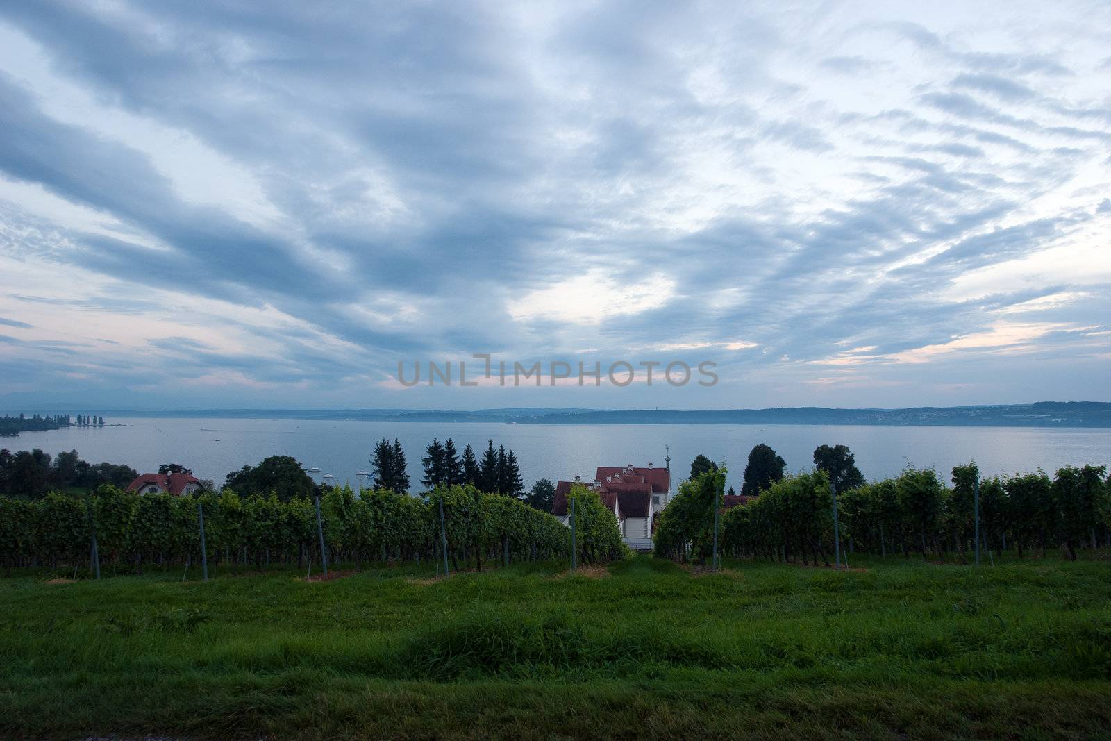 The Meersburg vineyards at the northern banks of Lake Constance, Germany