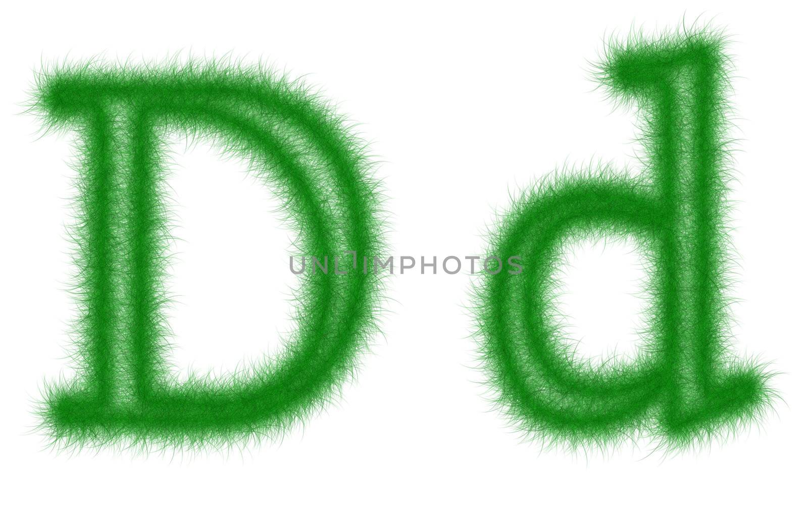 Green grass font isolated on white background