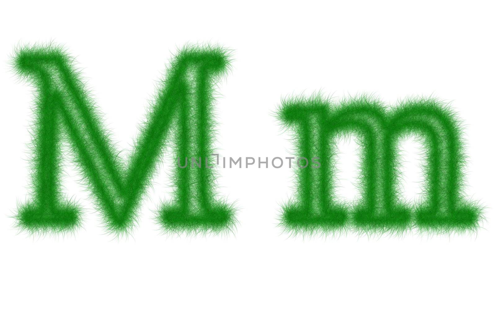 Green grass font isolated on white background