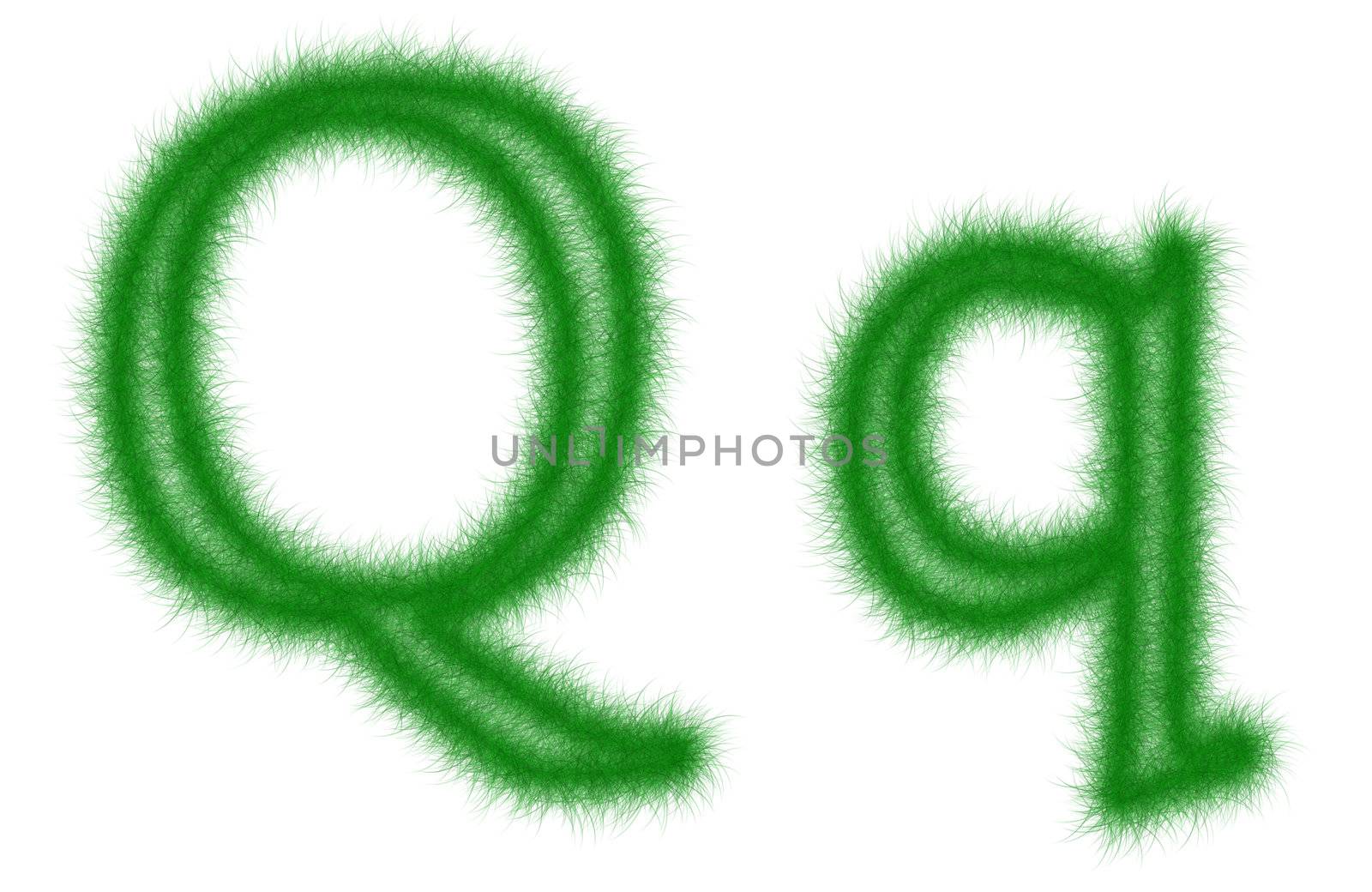 Green grass font isolated on white background