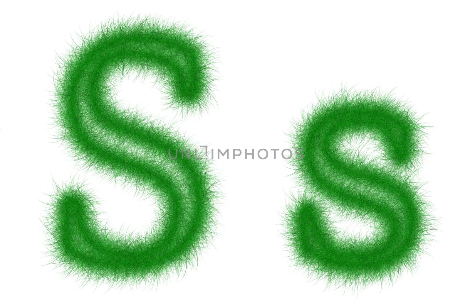 Green grass font isolated on white background